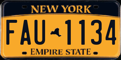 NY license plate FAU1134