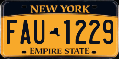 NY license plate FAU1229