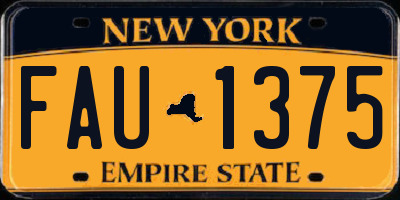 NY license plate FAU1375