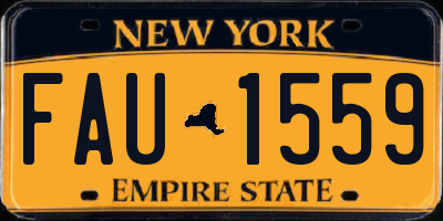 NY license plate FAU1559