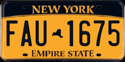 NY license plate FAU1675