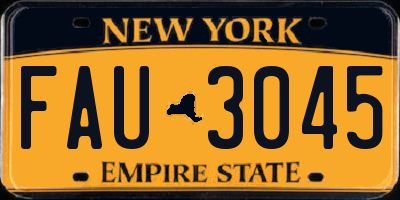 NY license plate FAU3045