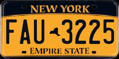 NY license plate FAU3225