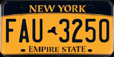 NY license plate FAU3250