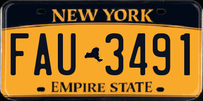 NY license plate FAU3491