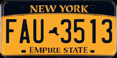 NY license plate FAU3513