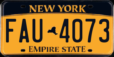 NY license plate FAU4073