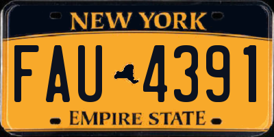 NY license plate FAU4391