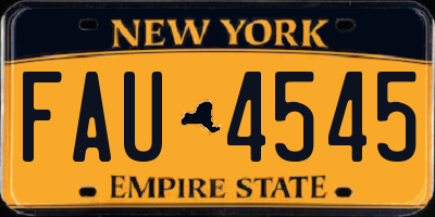 NY license plate FAU4545