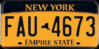 NY license plate FAU4673