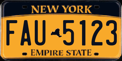 NY license plate FAU5123