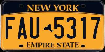 NY license plate FAU5317