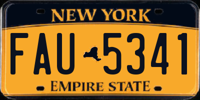 NY license plate FAU5341