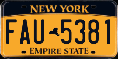 NY license plate FAU5381