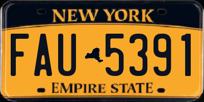 NY license plate FAU5391