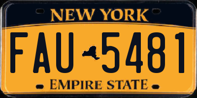 NY license plate FAU5481