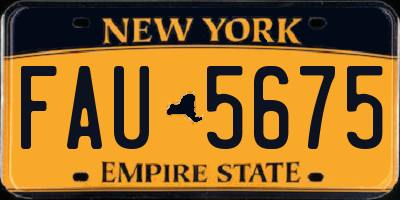 NY license plate FAU5675