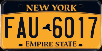NY license plate FAU6017