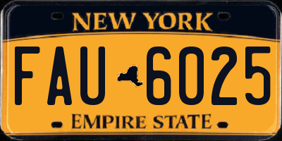NY license plate FAU6025