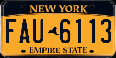 NY license plate FAU6113