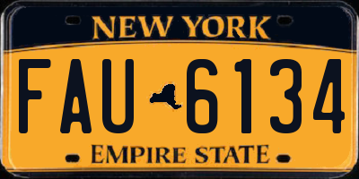 NY license plate FAU6134