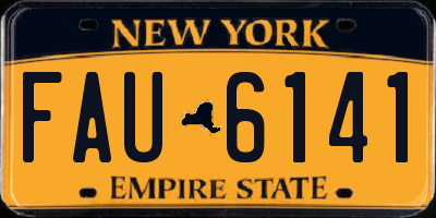 NY license plate FAU6141
