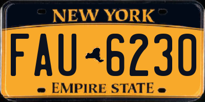 NY license plate FAU6230