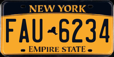 NY license plate FAU6234