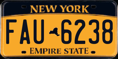 NY license plate FAU6238