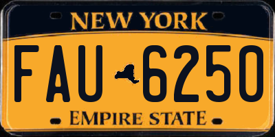NY license plate FAU6250