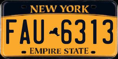 NY license plate FAU6313