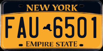 NY license plate FAU6501