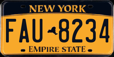 NY license plate FAU8234