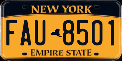 NY license plate FAU8501
