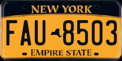 NY license plate FAU8503