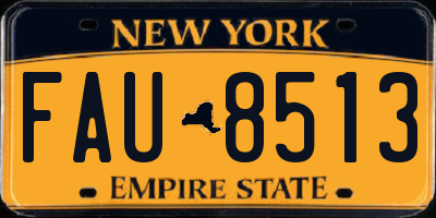 NY license plate FAU8513