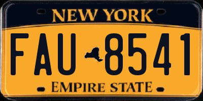 NY license plate FAU8541