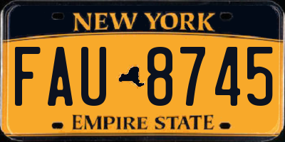 NY license plate FAU8745