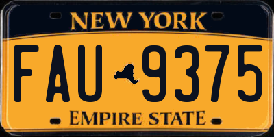 NY license plate FAU9375