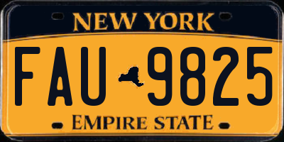 NY license plate FAU9825