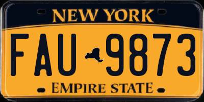 NY license plate FAU9873