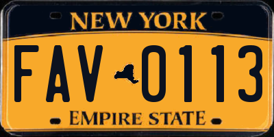 NY license plate FAV0113