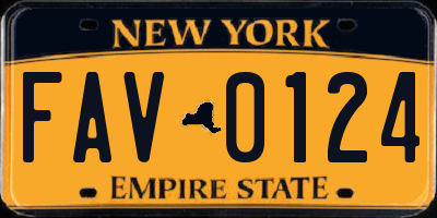 NY license plate FAV0124