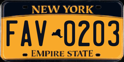 NY license plate FAV0203