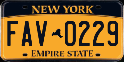 NY license plate FAV0229