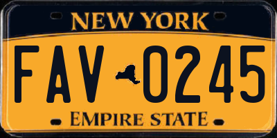 NY license plate FAV0245