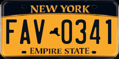 NY license plate FAV0341