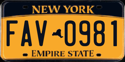 NY license plate FAV0981