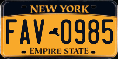 NY license plate FAV0985