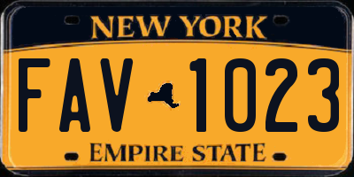 NY license plate FAV1023